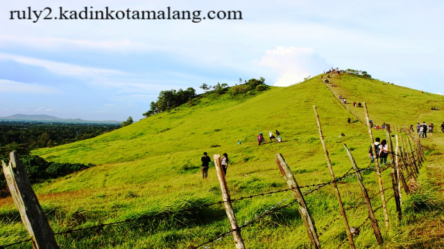 Bukit Rimpi: Keindahan Bukit Savana Eksotis yang Menawan